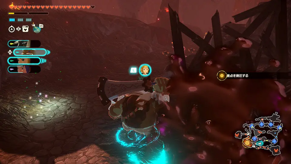 コログのミの場所