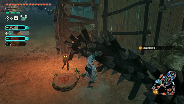 コログのミの場所