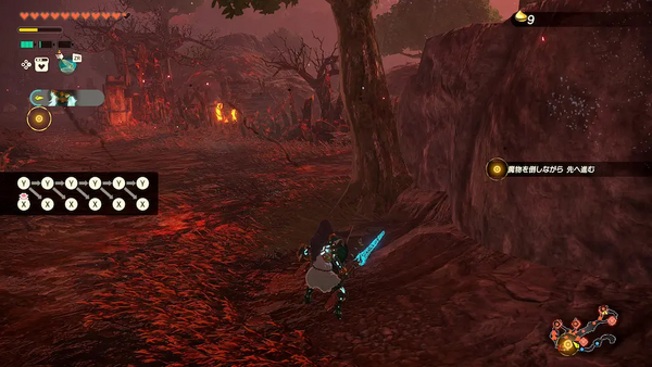 コログのミの場所