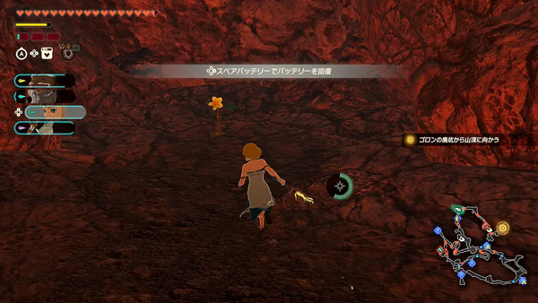 コログのミの場所