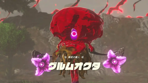 グルムオクタの画像