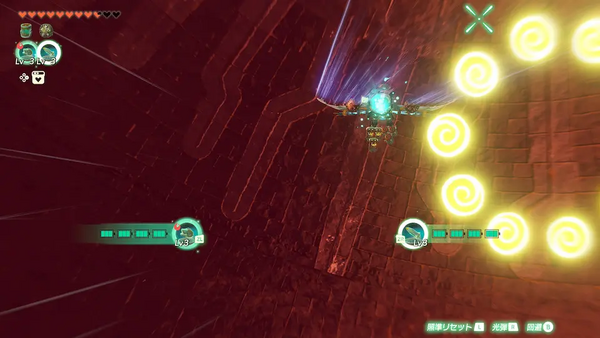 コログのミの場所