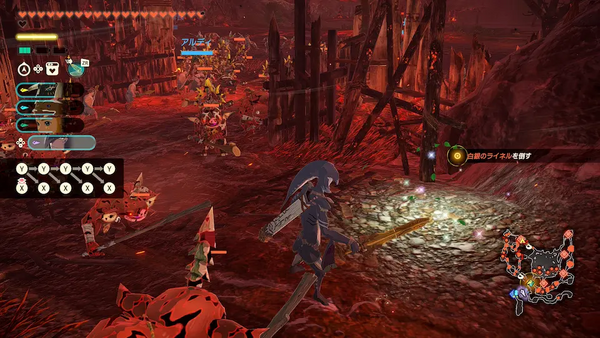 コログのミの場所