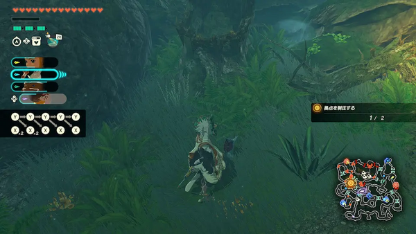 コログのミの場所