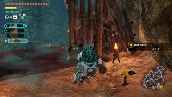 コログのミの場所