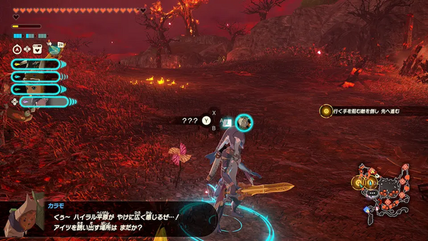 コログのミの場所