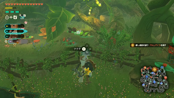 コログのミの場所