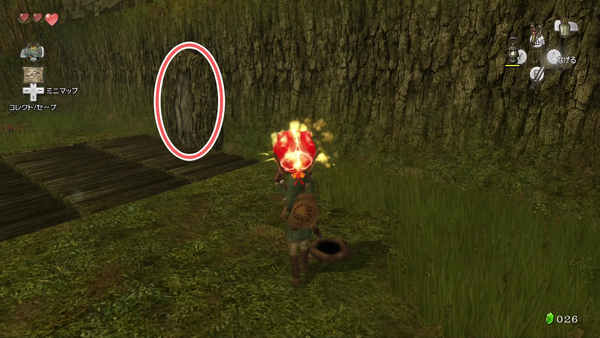 森の神殿:20ルピー