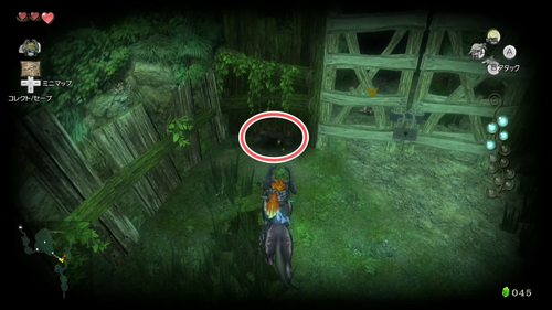 光の雫（影の蟲）：参道の手前