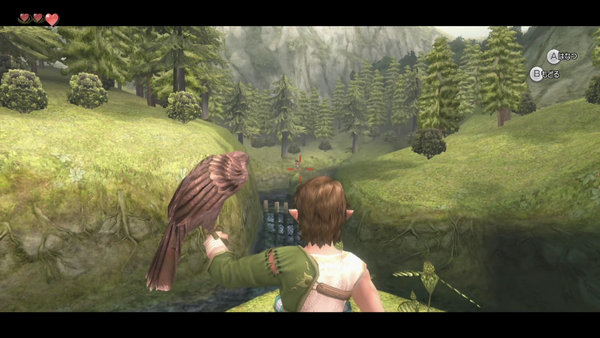 サルに向かってタカを放つ