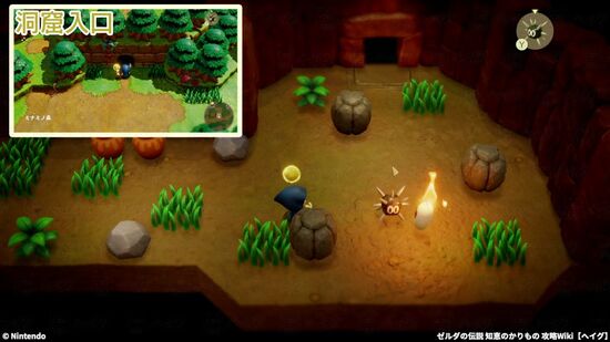 キャンゾルの倒し方